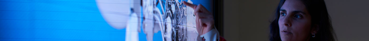 Bild zu Strategy Analyst